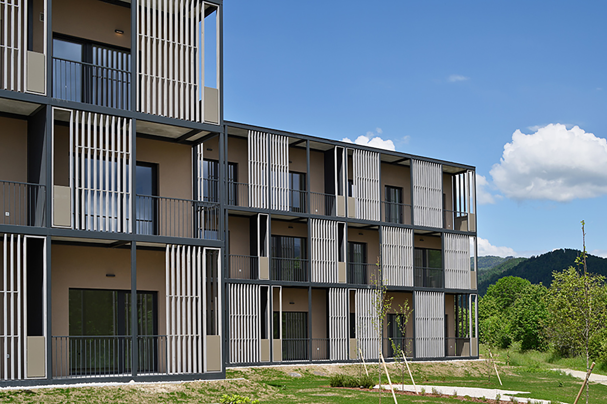 Fotografija: Miran Kambič