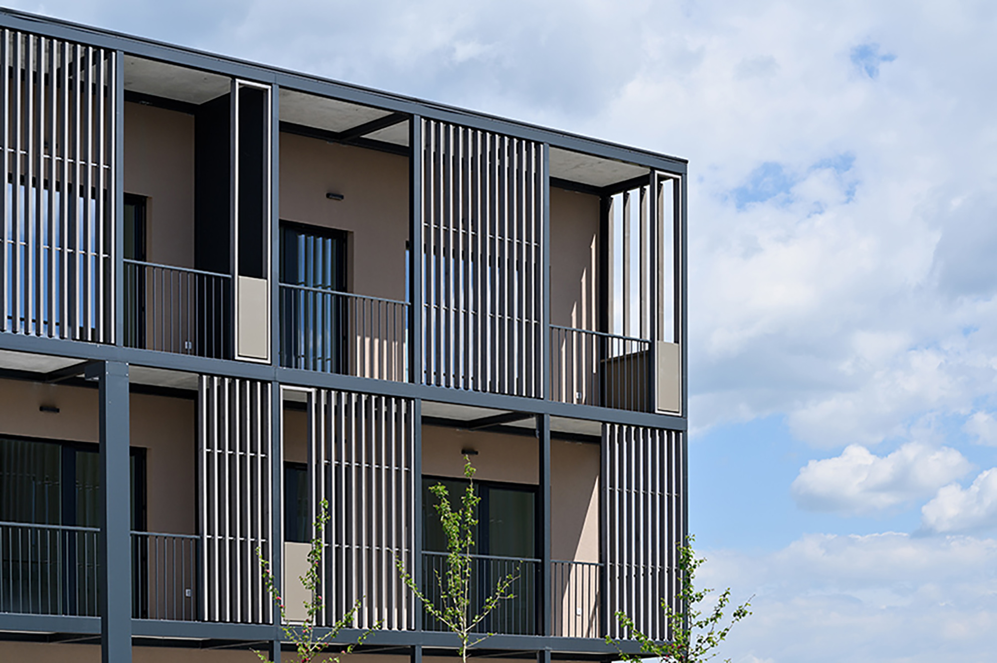 Fotografija: Miran Kambič