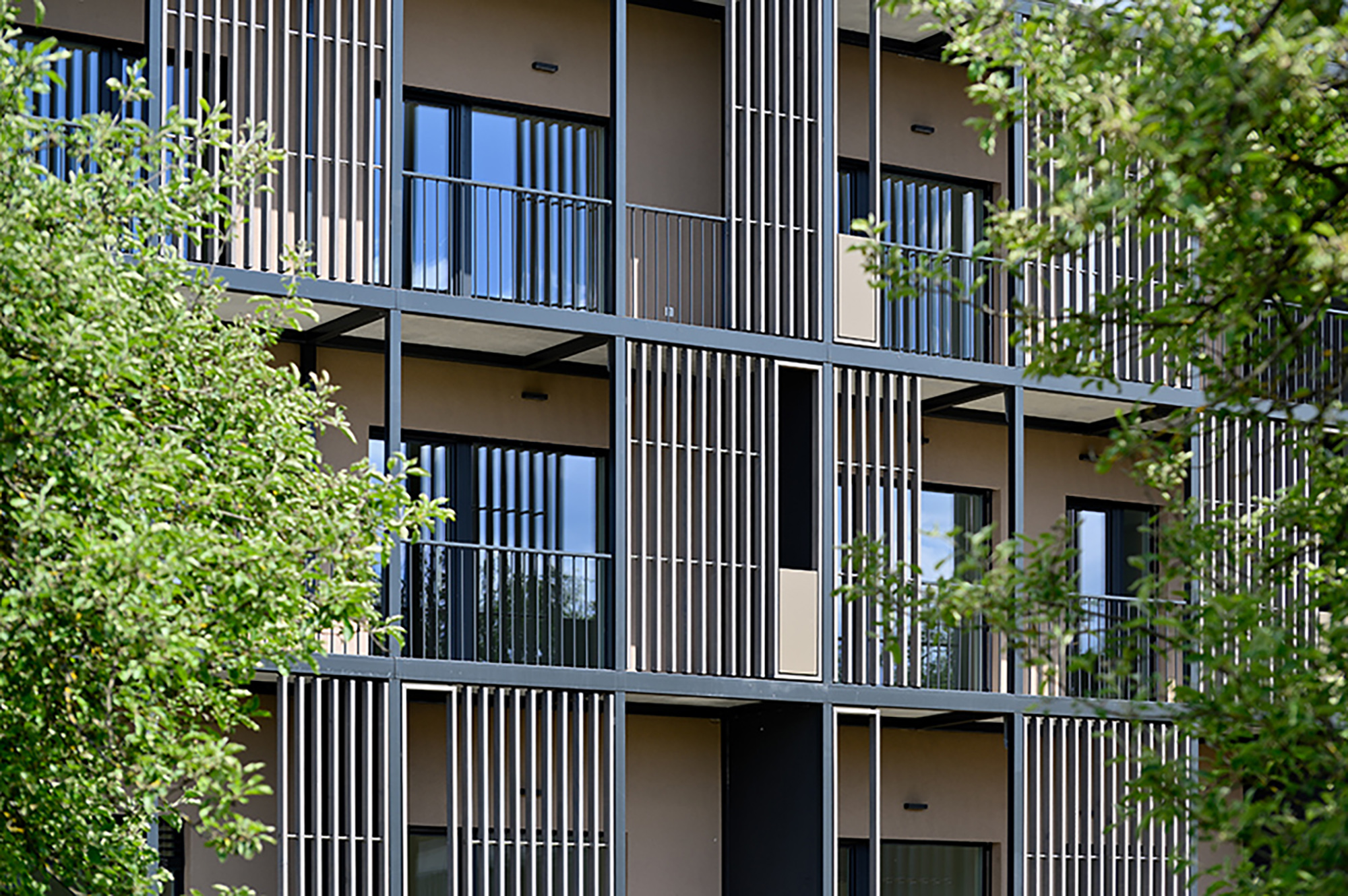 Fotografija: Miran Kambič