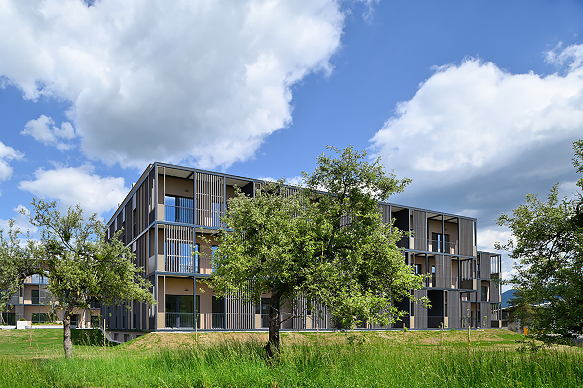 Fotografija: Miran Kambič