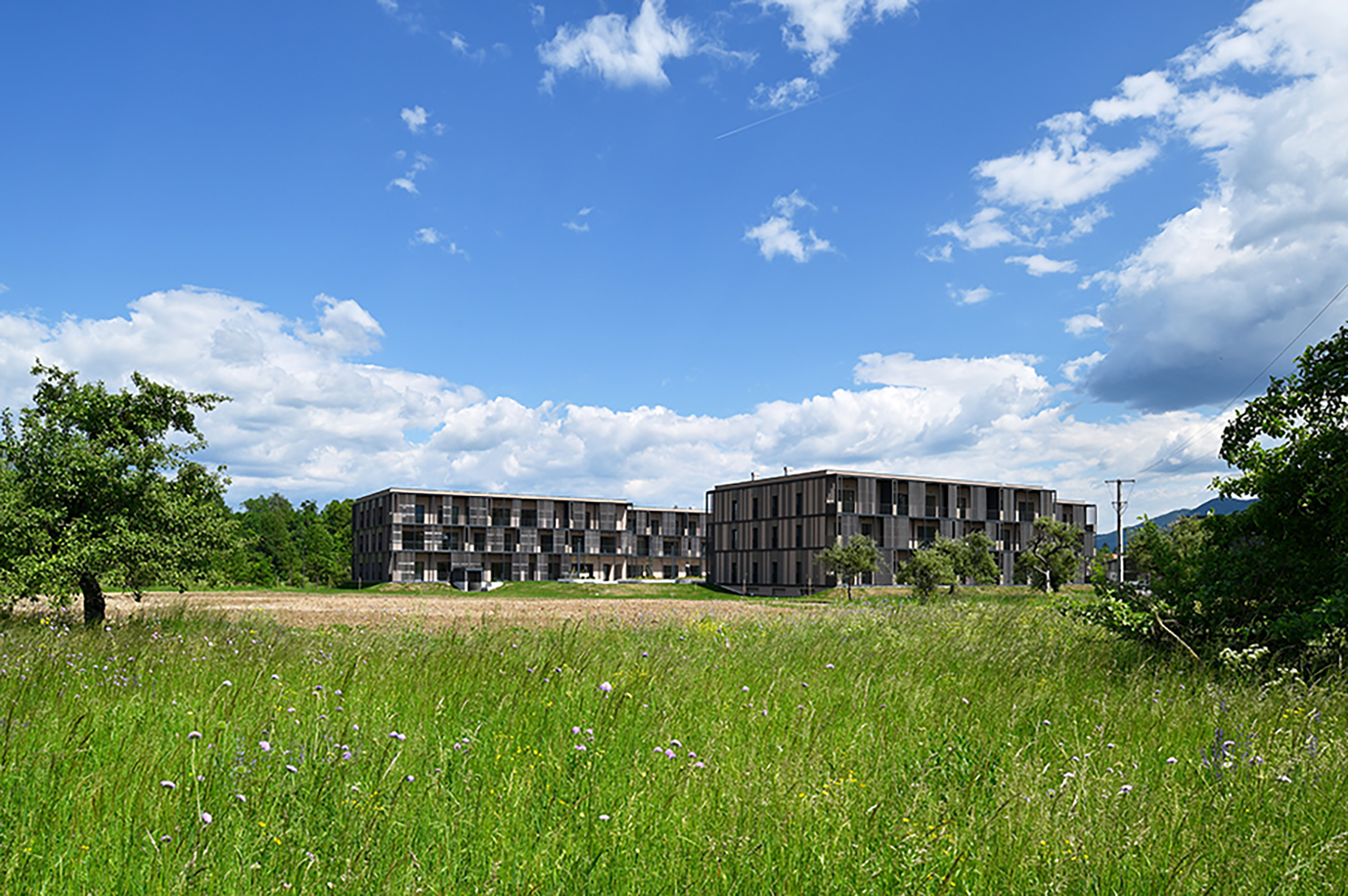 Fotografija: Miran Kambič