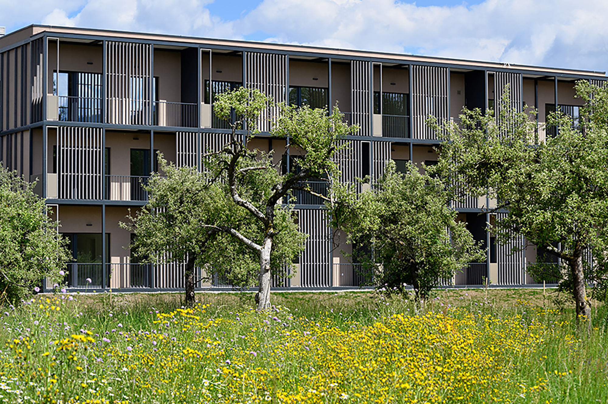 Fotografija: Miran Kambič