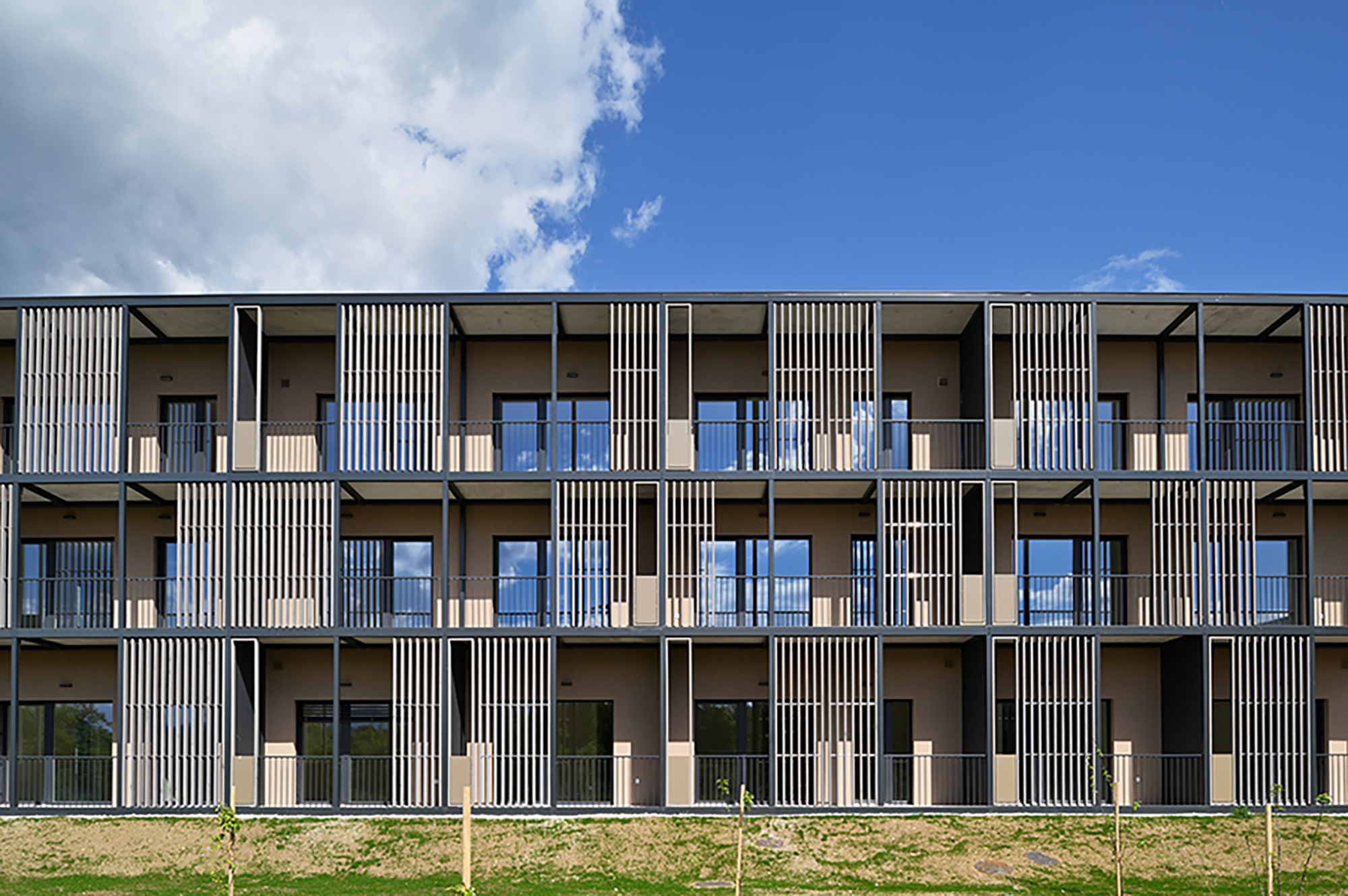 Fotografija: Miran Kambič