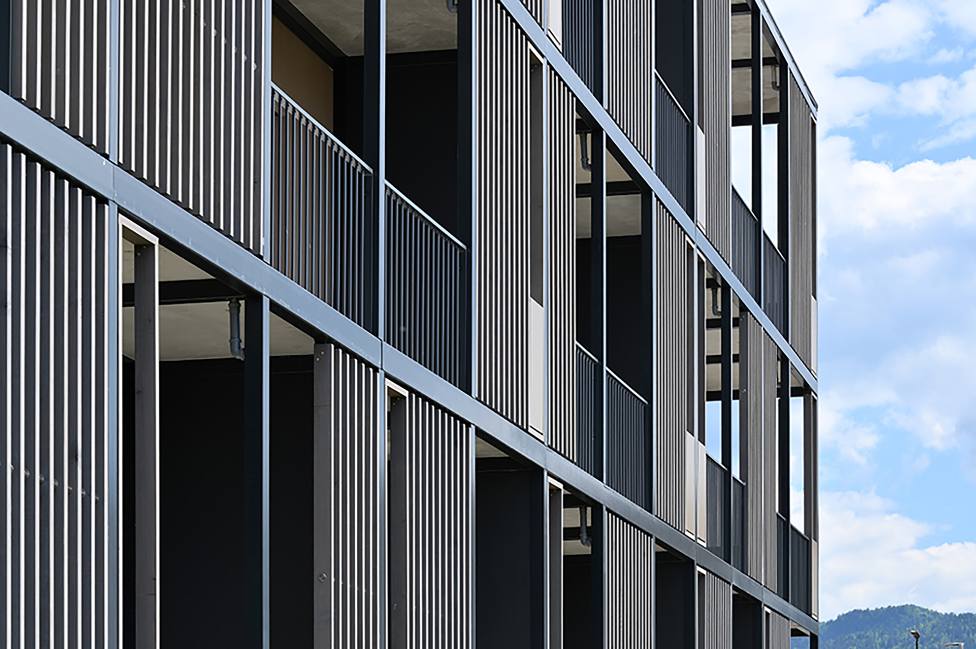 Fotografija: Miran Kambič