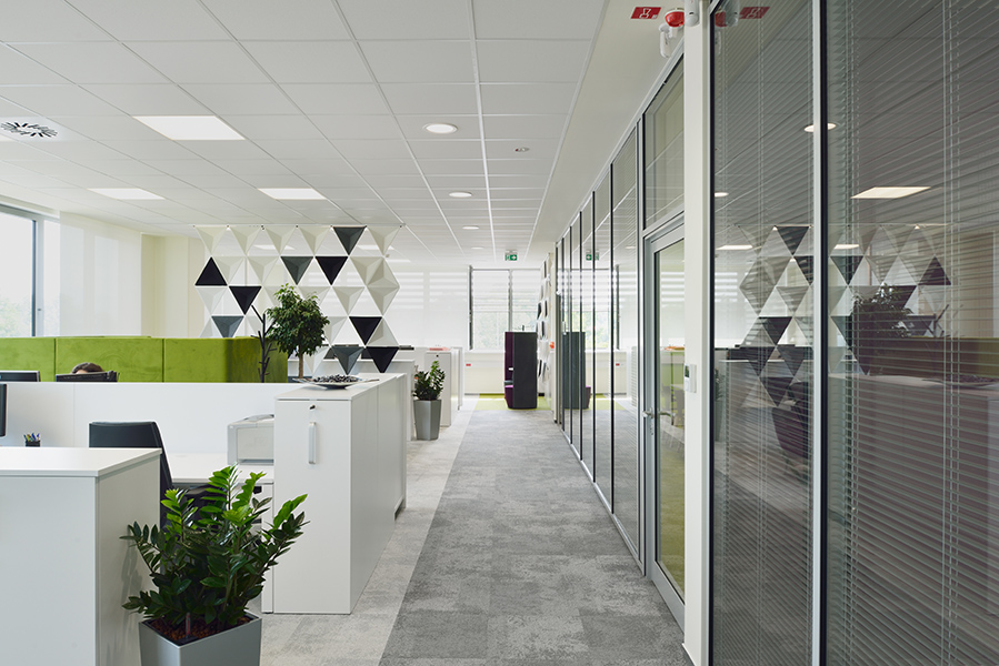 Fotografija: Miran Kambič