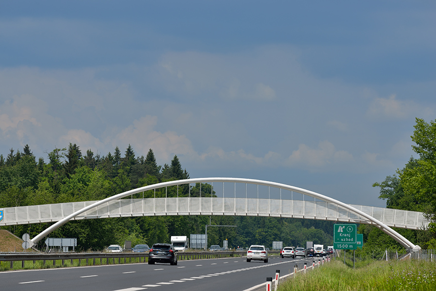 Fotografija: Miran Kambič