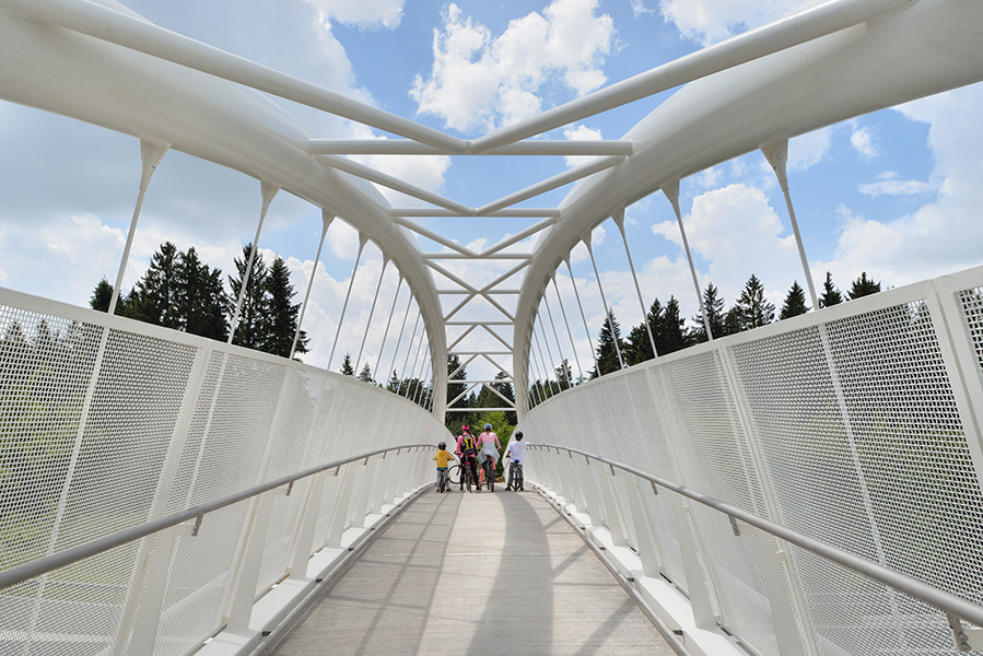 Fotografija: Miran Kambič